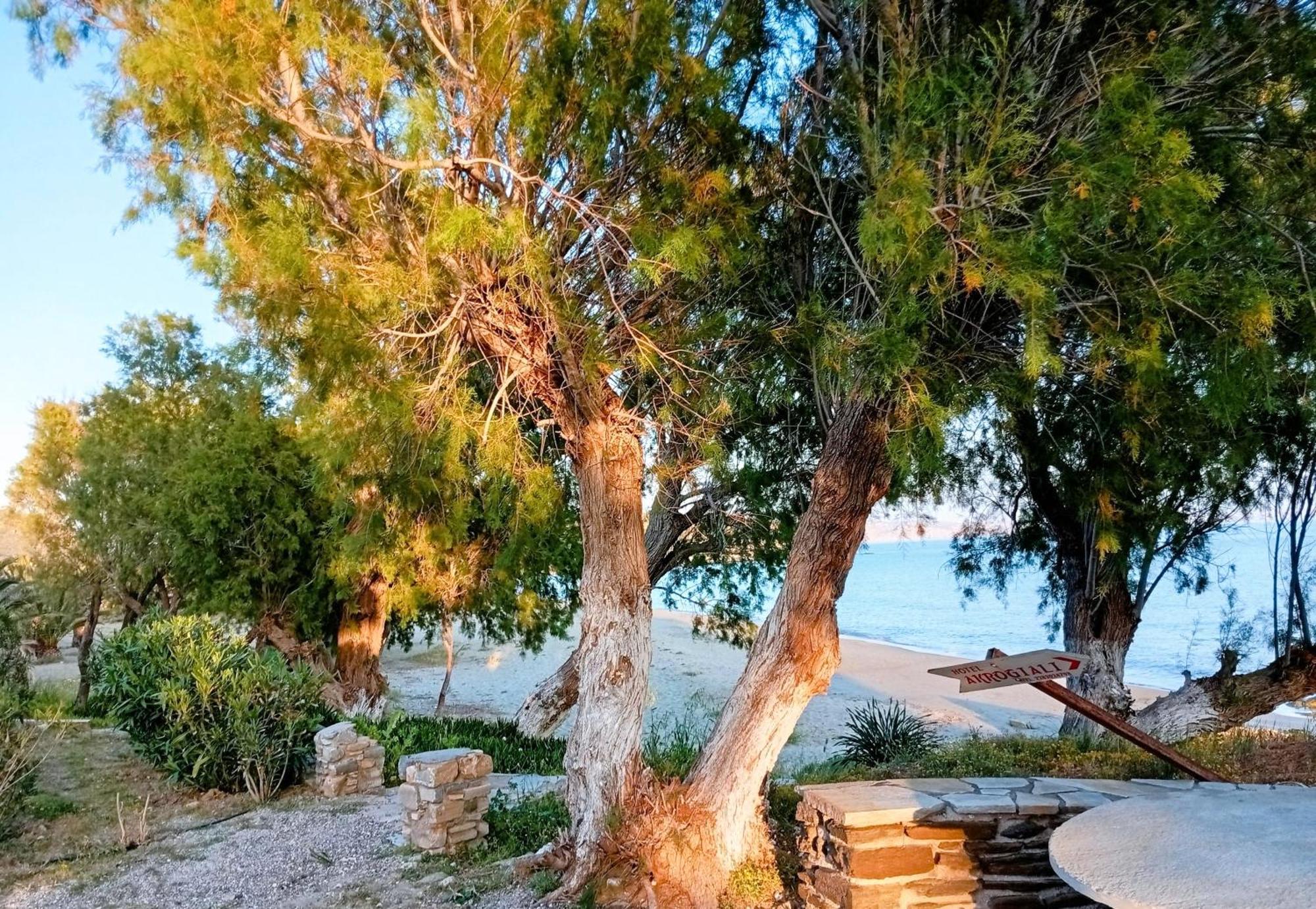 Porto Galini Tinos Karya 102 Hébergement de vacances Agios Ioannis (Tinos)